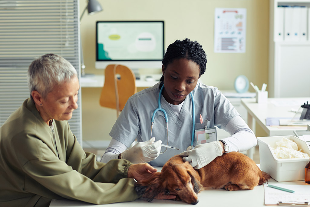 Black female veterinarian with white older female woman helping dog